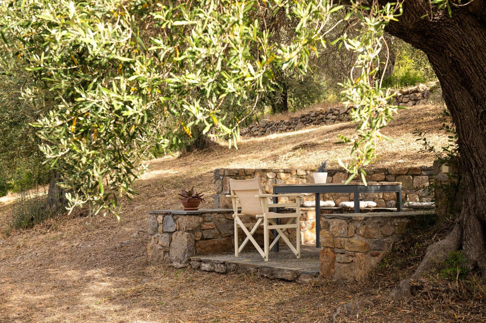 Lithea Villas And Studios By The Sea Agios Petros  Екстериор снимка