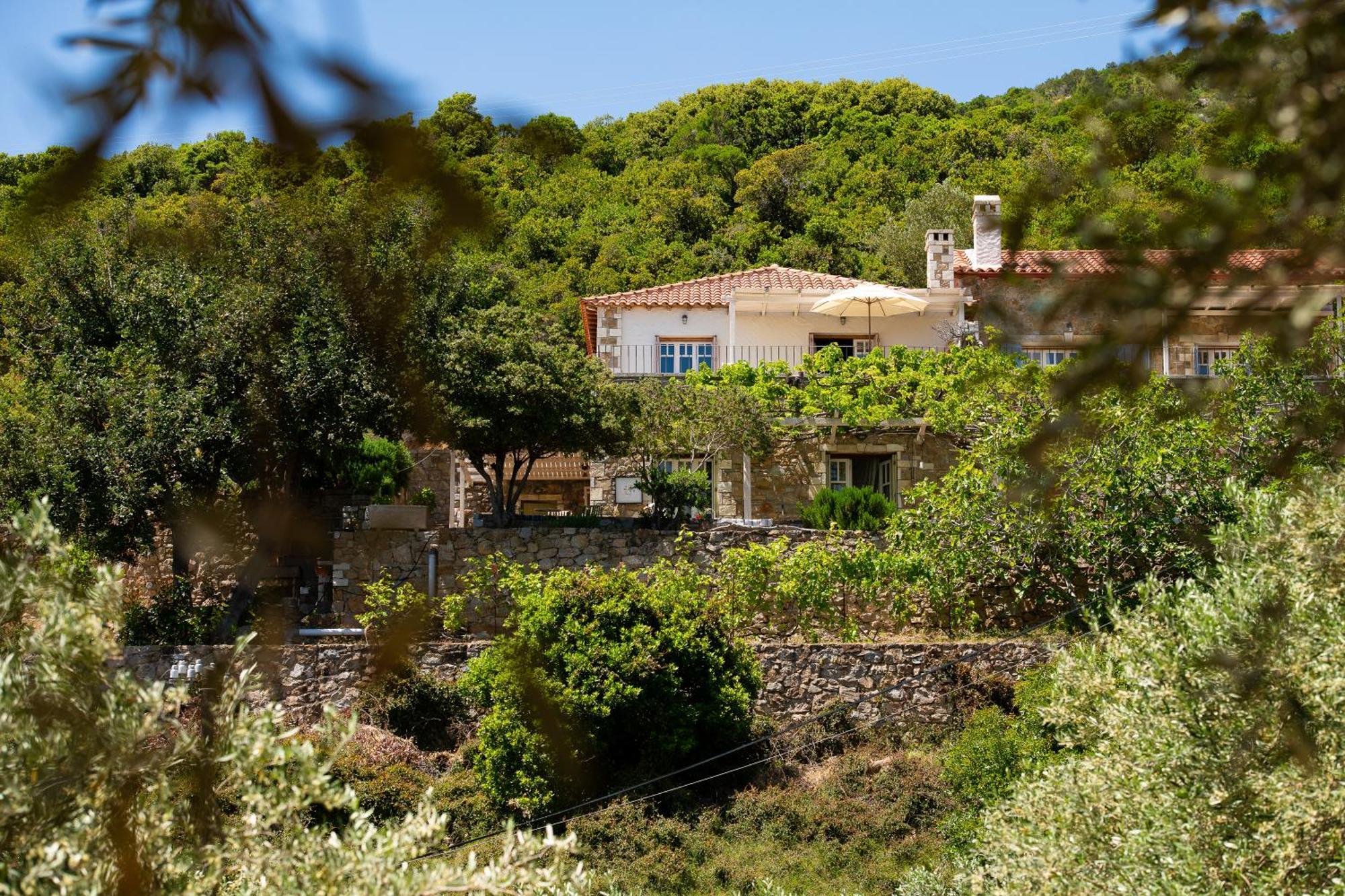 Lithea Villas And Studios By The Sea Agios Petros  Екстериор снимка